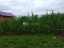 Продажа загородного дома Кривцы, Счастливая, 52