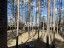 Продажа загородного дома Правдино, 14