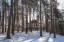 Продажа загородного дома Истра, Урожай-1