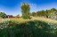 Продажа загородного дома Солнечногорск
