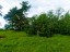 Продажа загородного дома Михалево, Болотный, 6
