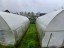 Продажа загородного дома Павловский Посад, Мехлесхоза, Мичуринец-2, к.нт