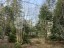Продажа загородного дома Николина Гора, Никологорское, Сосновая
