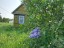 Продажа загородного дома Куккузи, 6 литер а