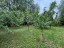 Продажа загородного дома Боброво, Лесная