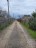 Продажа загородного дома Красное Село, сдт Авангард 8-я