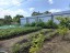 Продажа загородного дома Учхоз, Полет-2, к.НТ