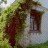Продажа загородного дома Пески, 13-я линия