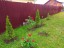 Продажа загородного дома Кривцы, Счастливая, 52