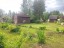 Продажа загородного дома Пупышево, Риф, к.НТ