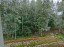 Продажа загородного дома Мистолово, 1