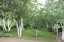 Продажа загородного дома Поляны, Выборгское