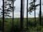 Продажа загородного дома Зеленая Роща, к.НТ