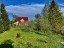 Продажа загородного дома Сирень, к.нт