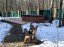 Продажа загородного дома Кубинка