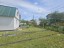 Продажа загородного дома Ступино, Возрождение, Машиностроитель-4