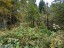 Продажа загородного дома Лехтуси, Энергетик, 416