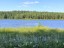 Продажа загородного дома Павловский Посад, Дальняя, Нефтяник-7, к.нт