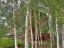 Продажа загородного дома Истра, Юрьево