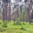 Продажа загородного дома ФОРТ-ИНО, к.нт