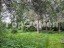 Продажа загородного дома Климовск, Бытовик
