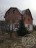 Продажа загородного дома Пеники, Южная