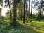 Продажа загородного дома Лосино-Петровский, Корпуса