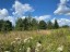 Продажа загородного дома Переярово