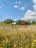 Продажа загородного дома Лужки, Новая