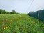 Продажа загородного дома Большие Сяглицы, 28