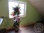 Продажа загородного дома Вырица, Моховая, 15