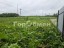 Продажа загородного дома Наро-Фоминск, Башкино