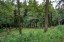 Продажа загородного дома Подушкино