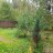 Продажа загородного дома Вырица