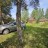 Продажа загородного дома Рахья