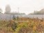 Продажа загородного дома Пупышево