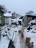 Продажа загородного дома Луга, Медведское, 21