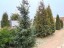 Продажа загородного дома Раменское, 36