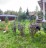 Продажа загородного дома Белоостров, Осинка, к.НТ