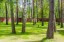 Продажа загородного дома Кубинка