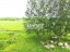 Продажа загородного дома Пятиречье, Центральная, 61