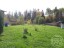 Продажа загородного дома Осельки, к.т.