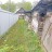 Продажа загородного дома Волосово, Нарвская