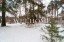 Продажа загородного дома Одинцово, 243