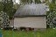 Продажа загородного дома деревня Десна