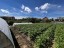 Продажа загородного дома Луховицы, Первомайская