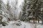 Продажа загородного дома Кубинка