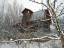 Продажа загородного дома Акустика, к.нт