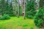Продажа загородного дома Кубинка