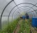 Продажа загородного дома Здоровье массива Трубников Бор, 169